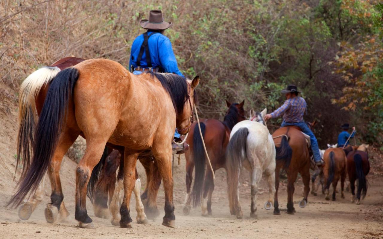 Hotel Circle Bar B Guest Ranch Capitan Exterior foto
